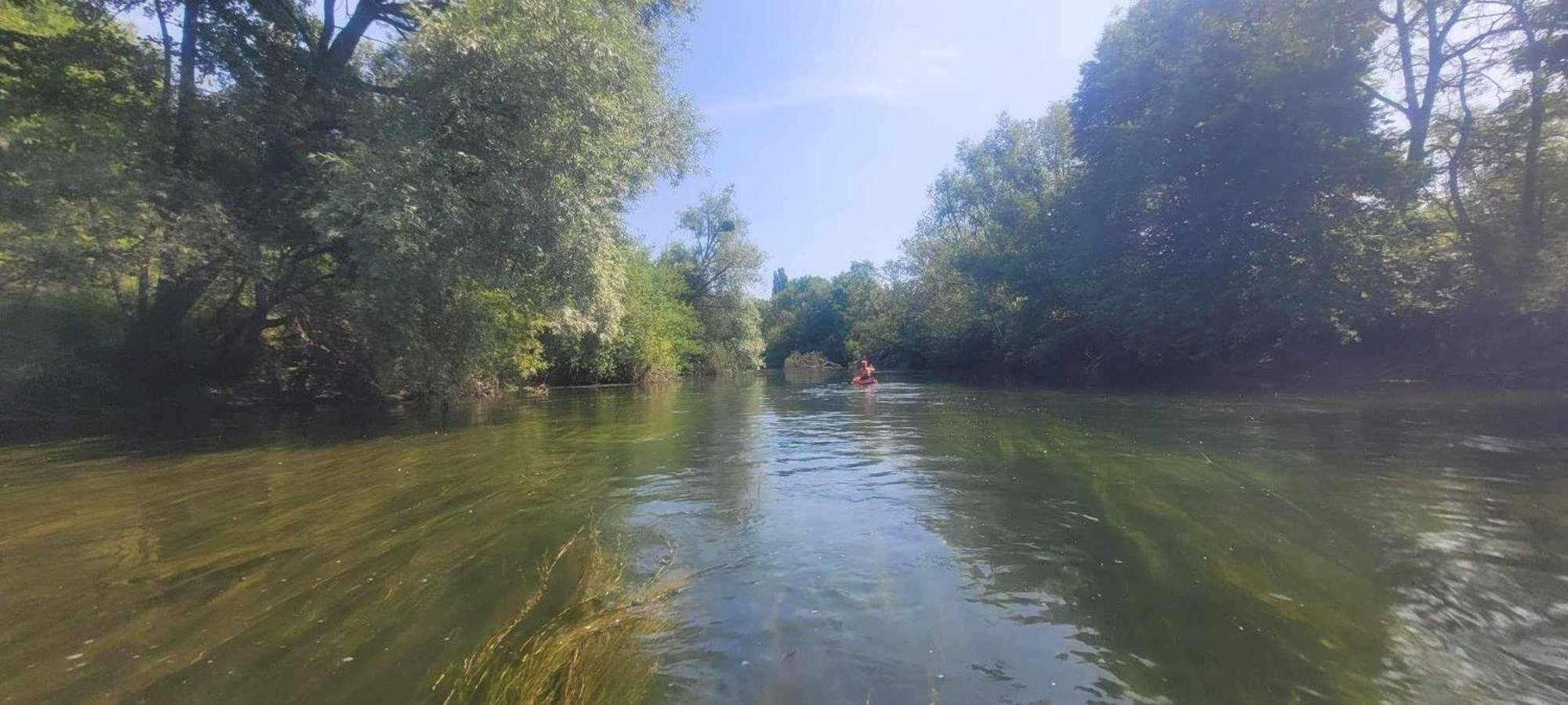 Detente A Sorques Montigny-sur-Loing Exterior foto