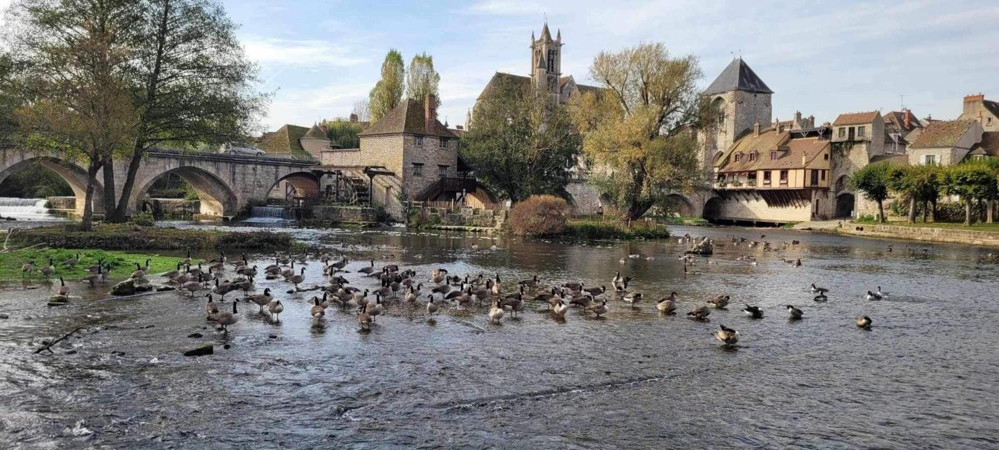 Detente A Sorques Montigny-sur-Loing Exterior foto